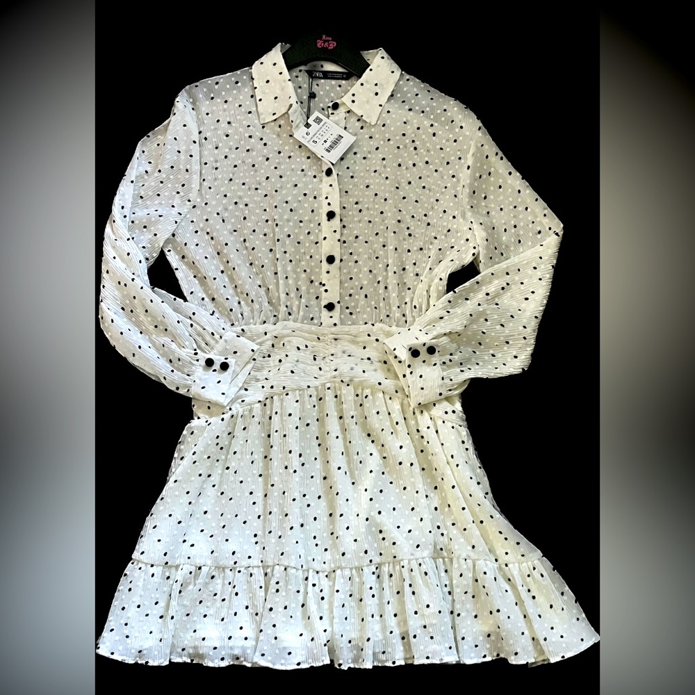 ZARA Dress
